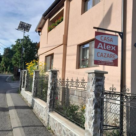 Topliţa Casa Alex酒店 外观 照片