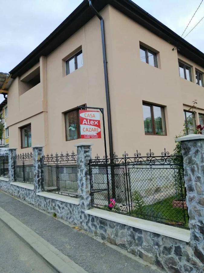Topliţa Casa Alex酒店 外观 照片