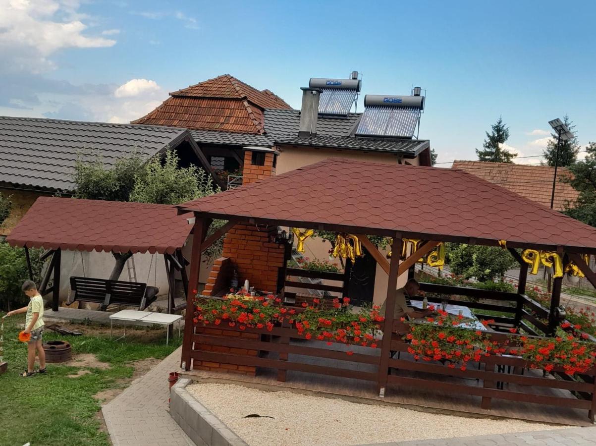 Topliţa Casa Alex酒店 外观 照片