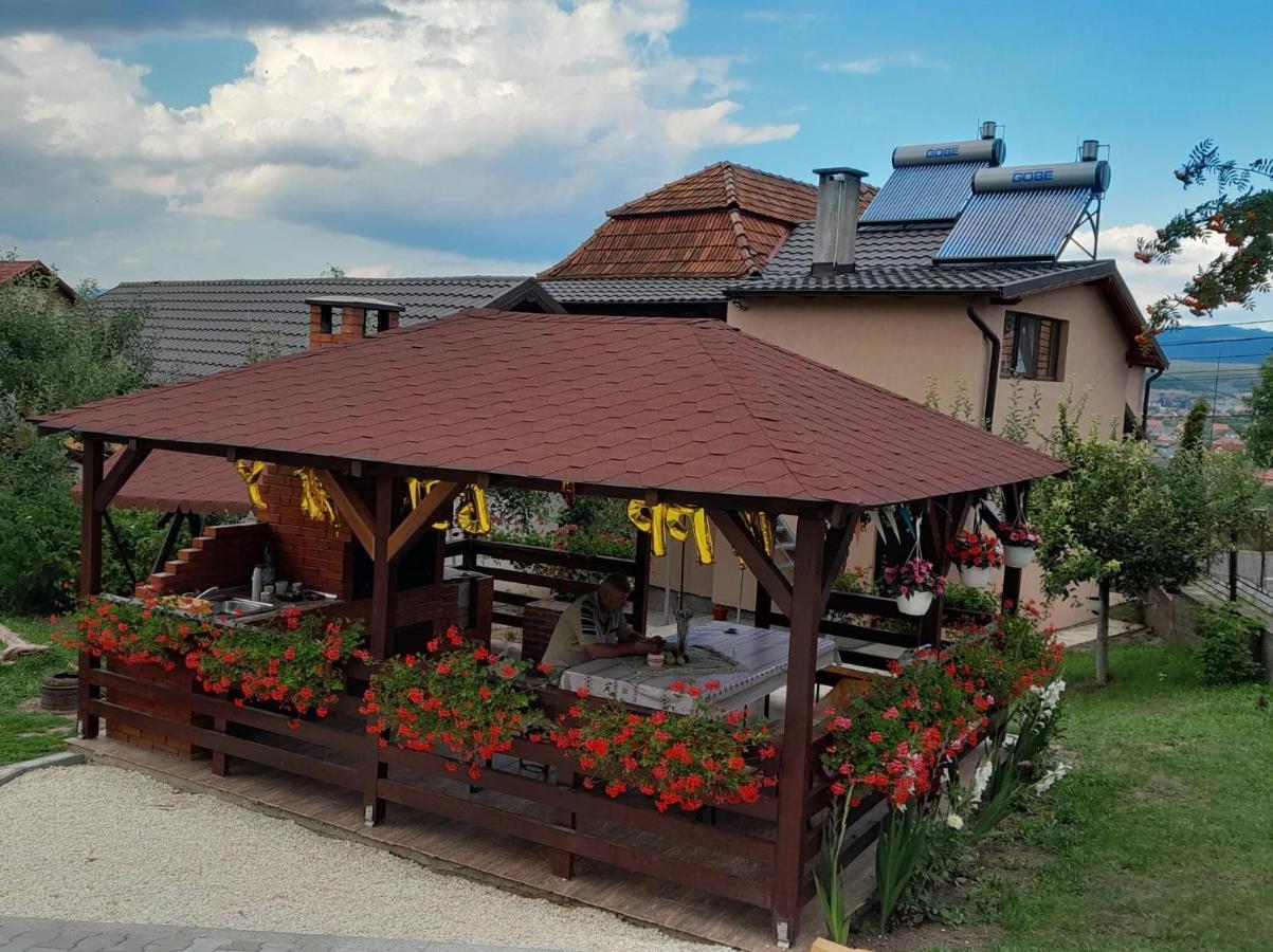 Topliţa Casa Alex酒店 外观 照片