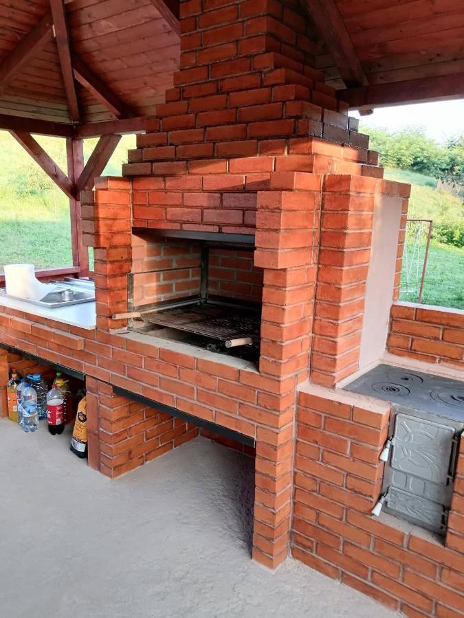 Topliţa Casa Alex酒店 外观 照片