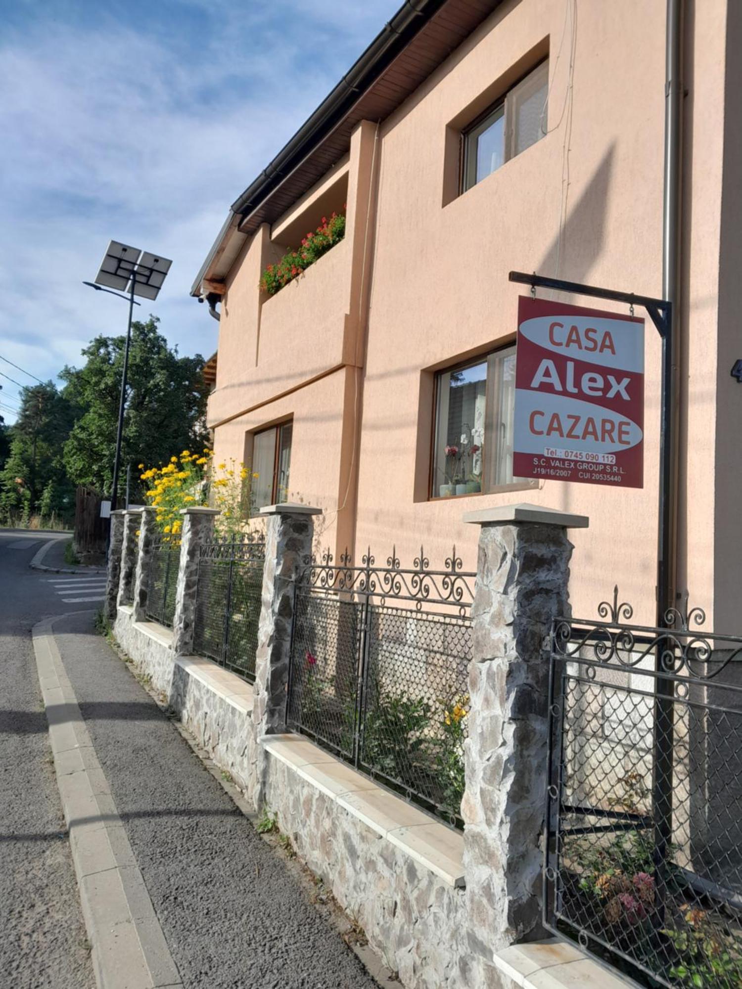 Topliţa Casa Alex酒店 外观 照片