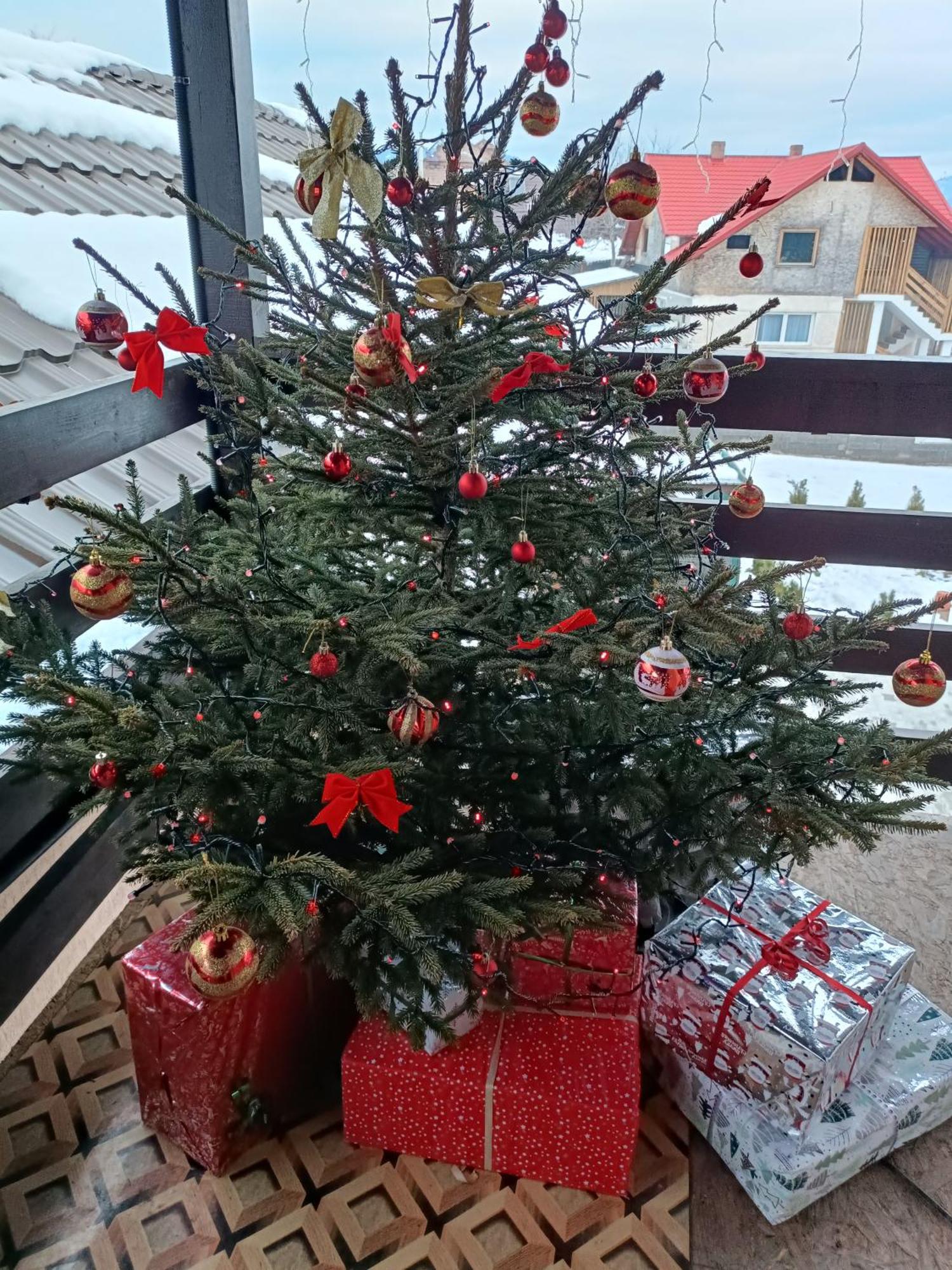 Topliţa Casa Alex酒店 外观 照片